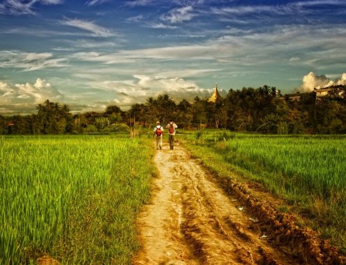 11 วิธีท่องเที่ยวเชิงอนุรักษ์แบบยั่งยืน ไม่ทำร้ายโลก รักษ์สิ่งแวดล้อม