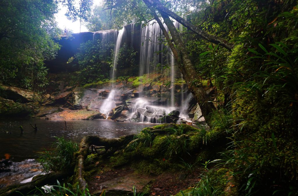 กรมอุทยานฯ ชูมาตรการเที่ยววิถีใหม่ “สะดวก-ปลอดภัย-ใส่ใจสิ่งแวดล้อม”