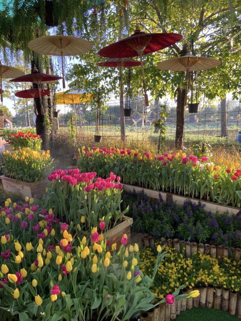 เทศกาลท่องเที่ยวแม่เมาะ ครั้งที่ 18