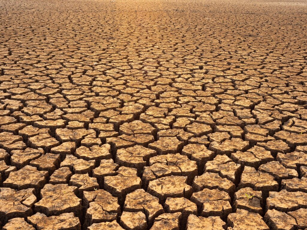 “ภาวะโลกเดือด”