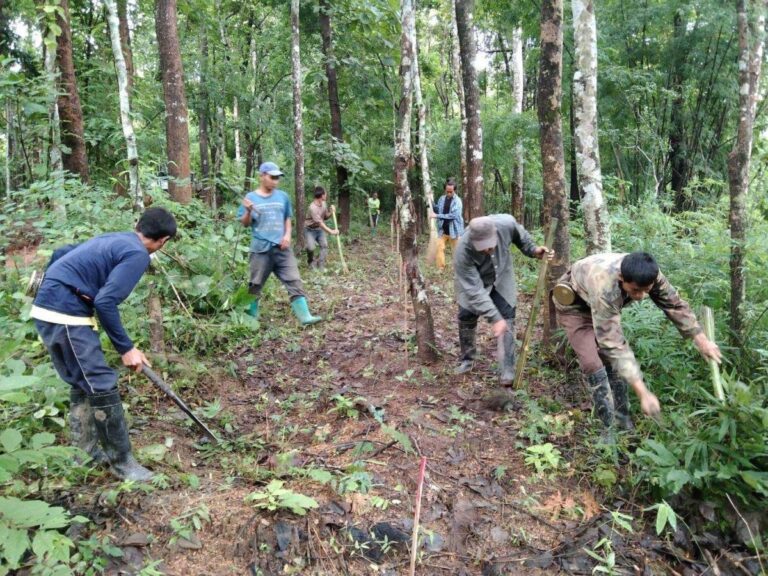 โครงการปลูกป่าล้านไร่ กฟผ. ปลูกจริง ตรวจสอบได้ มุ่งประชาชนได้ประโยชน์ ตอบโจทย์ Carbon Neutrality ของประเทศ