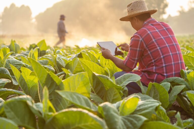 เทรนด์ (Trend)ที่ส่งผลต่อรูปแบบการดำเนินธุรกิจปี 2567