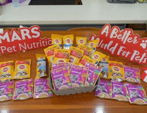 มาร์ส ประเทศไทย จับมือมูลนิธิใจด็อก เรสคิว ส่งเสริมการอุปการะสัตว์จากศูนย์พักพิงเป็นตัวเลือกแรกในการรับสัตว์เลี้ยงเข้าครอบครัว