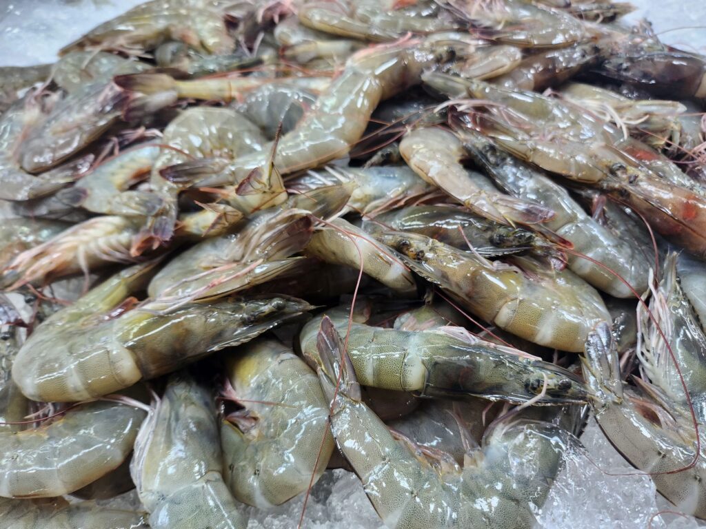 เปิดแนวทางแก้ปัญหาโรคกุ้งอย่างยั่งยืน