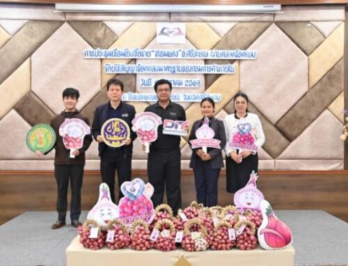 พาณิชย์ เร่งพยุงราคาหอมแดงศรีสะเกษ เชื่อมตลาดข้อตกลงทันที 50 ล้านบาท เดินหน้า 3 มาตรการ ดูดซับ–ส่งออกกว่า 7,000 ตัน ดันราคาปรับตัวดีขึ้น