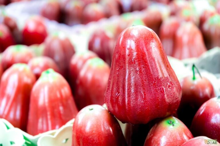 กรมทรัพย์สินทางปัญญา ประกาศ “ชมพู่คลองหาด” เป็น GI น้องใหม่ ชมพู่เกรดพรีเมียม ของดีสระแก้ว