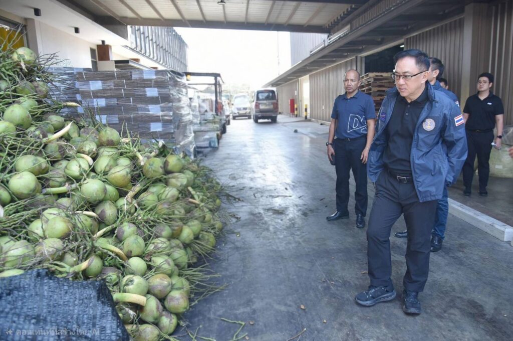 กรมพัฒน์ลุยสางปัญหานอมินี แก้ปัญหามะพร้าวน้ำหอมในราชบุรีอย่างเป็นระบบ