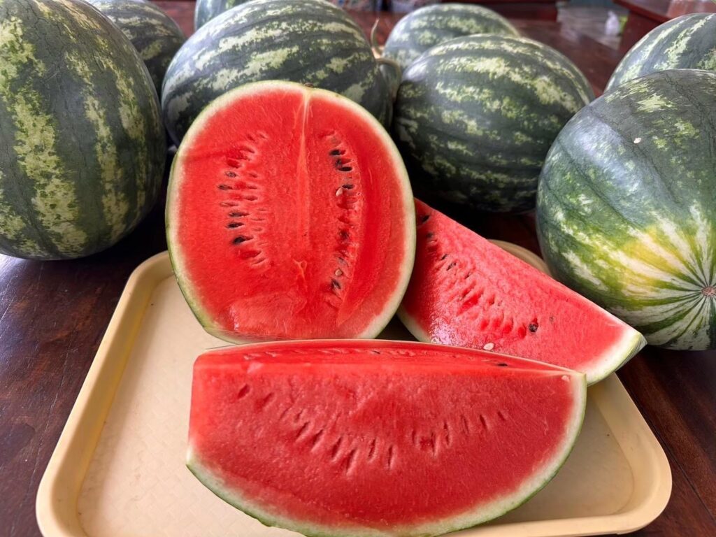 กรมทรัพย์สินทางปัญญาประกาศขึ้นทะเบียน“แตงโมหวานยโสธร“สินค้าจีไอใหม่